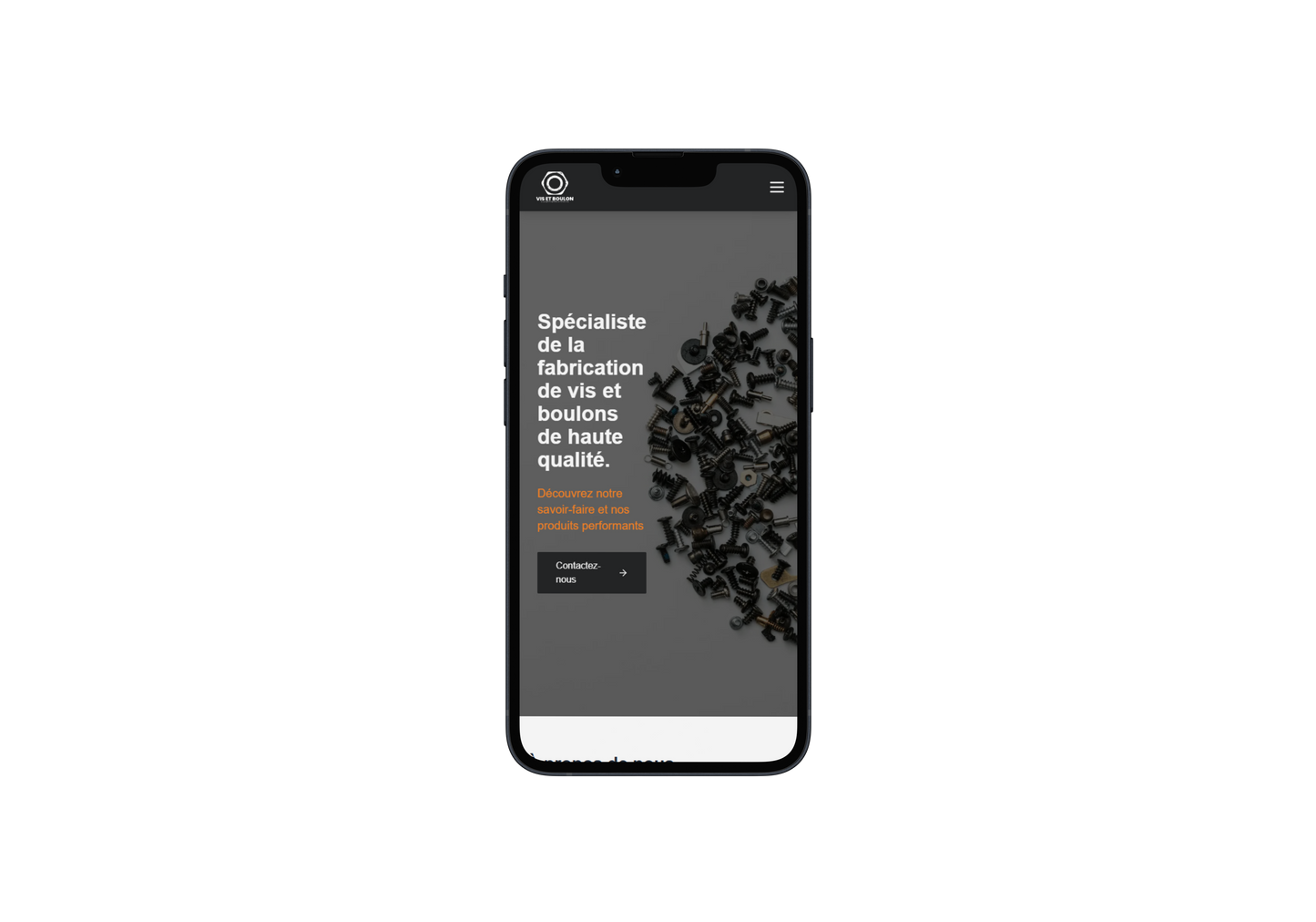 Site Vitrine - Modèle TPE / PME